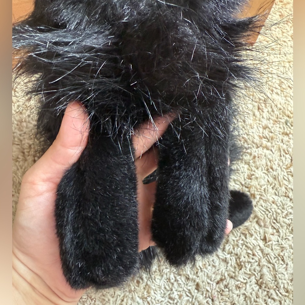 Vintage TY Onyx Black Cat Plush Persian Realistic Stuffed Animal - Picture 8 of 10